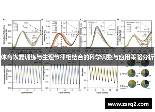 体育恢复训练与生理节律相结合的科学调整与应用策略分析